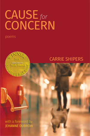 Cause for Concern - stories by Carrie Shipers